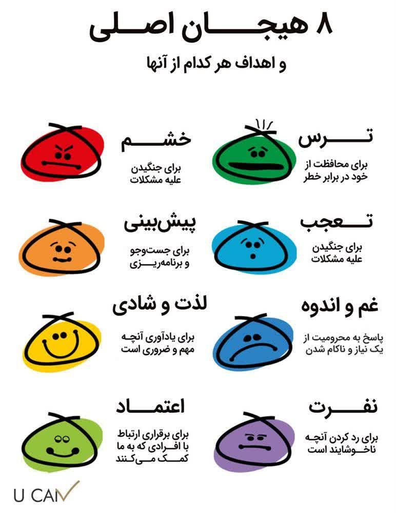 از تلاطم تا ارامش:هنر تبدیل هیجان به بال های پرواز | مهارت زندگی | مدیریت هیجان